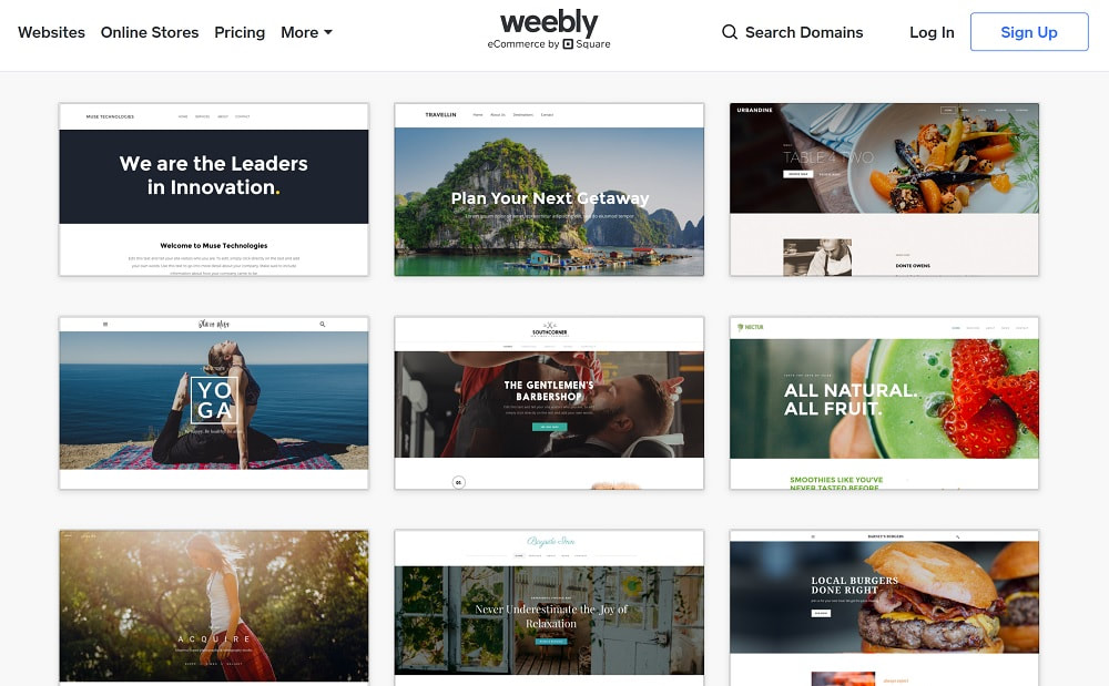 Weebly design platform themes